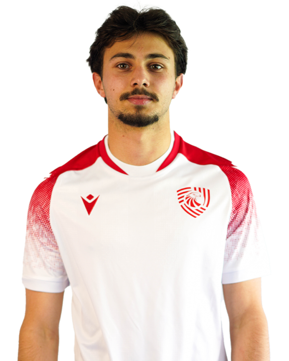 გიორგი ტაბატაძე
