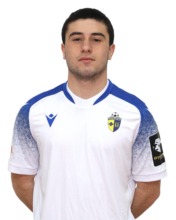 დავით ფაღავა