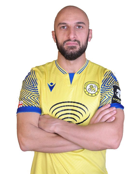 ნიკოლოზ ნოზაძე