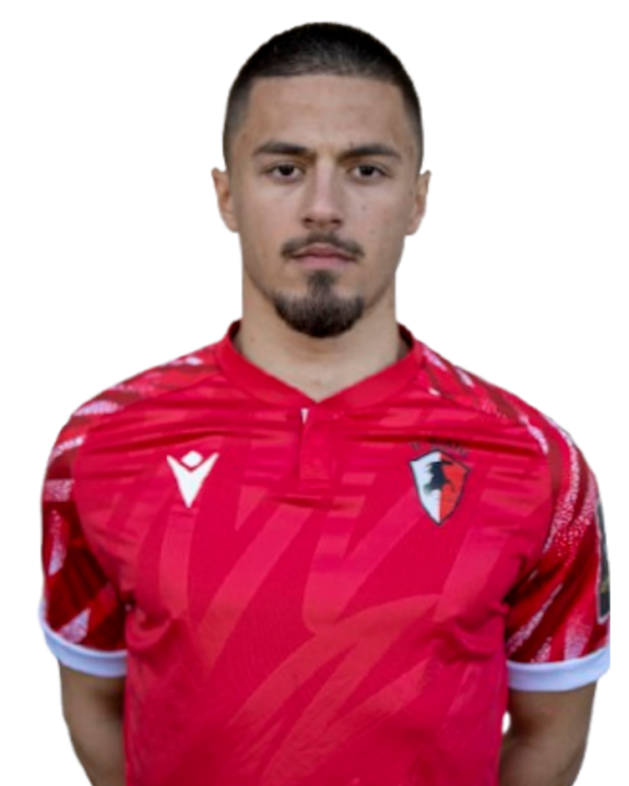 დავით ბოლოთაშვილი