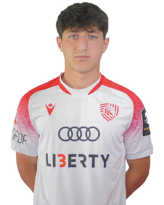 დავით გოგილაშვილი