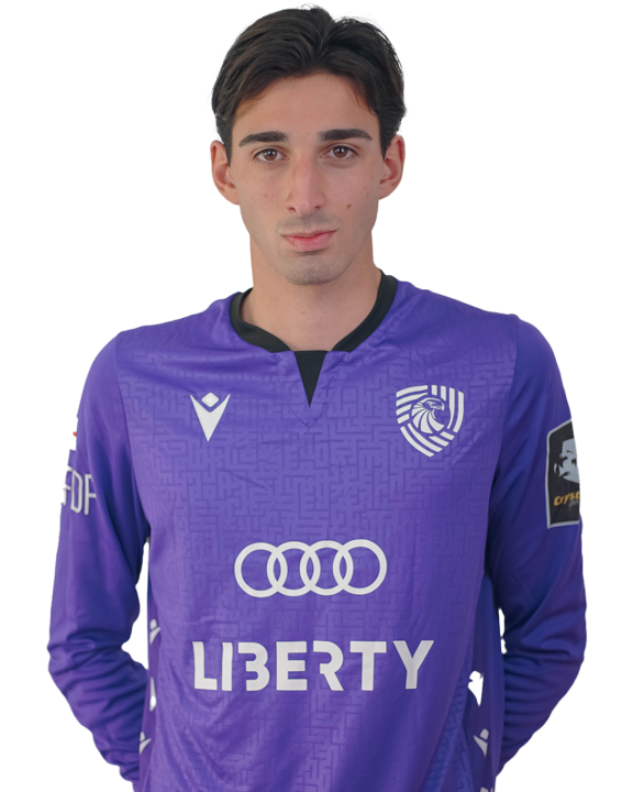 საბა ბოჭორიშვილი