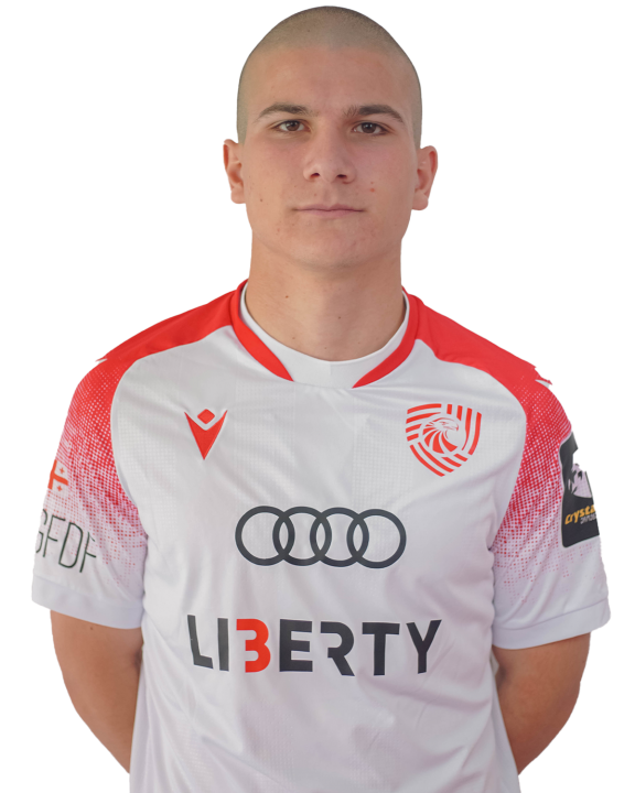 ცოტნე ხეჩიკაშვილი