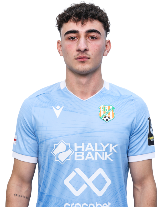 გიგი გოგია