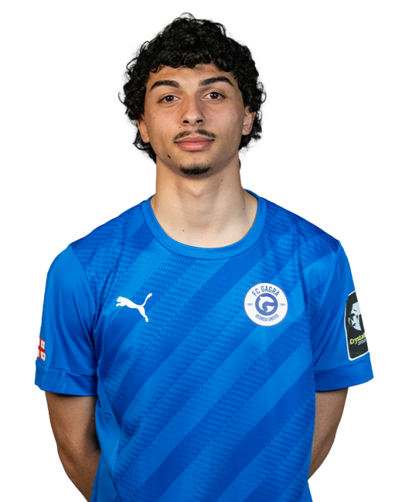 ილია კაციაშვილი