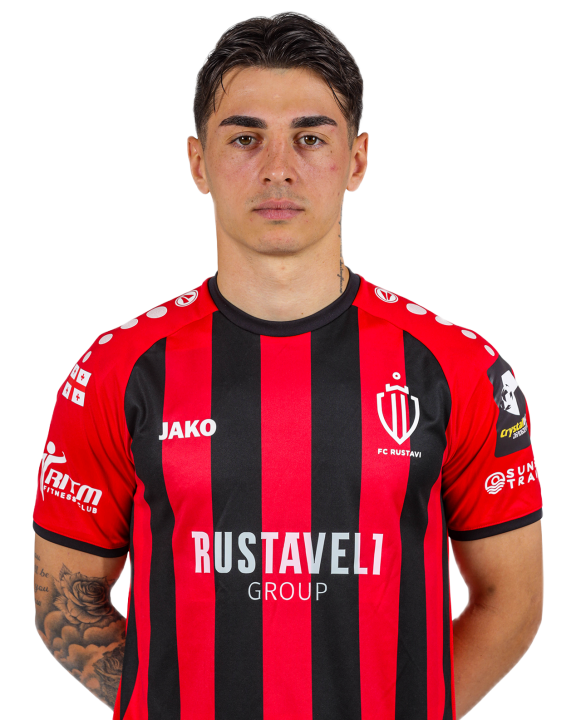 ნიკოლოზ ჩიქოვანი