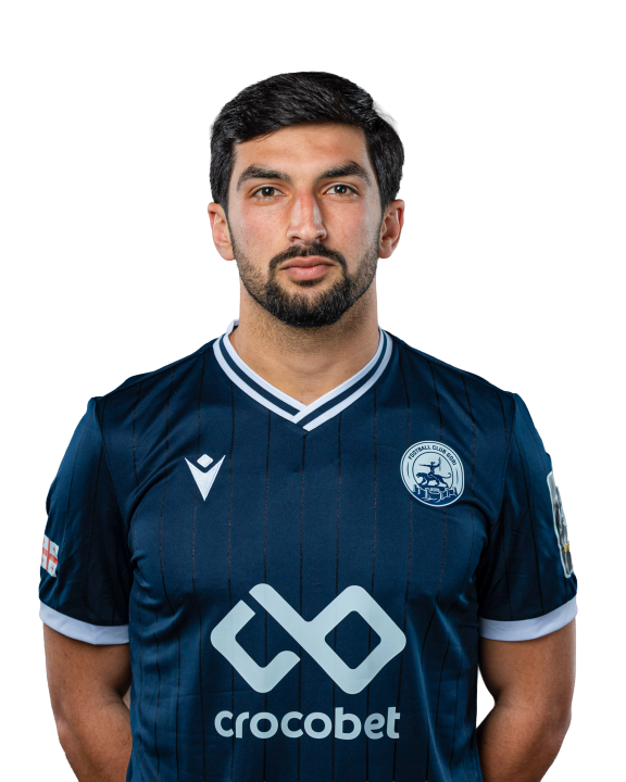 გოგი მამულაშვილი