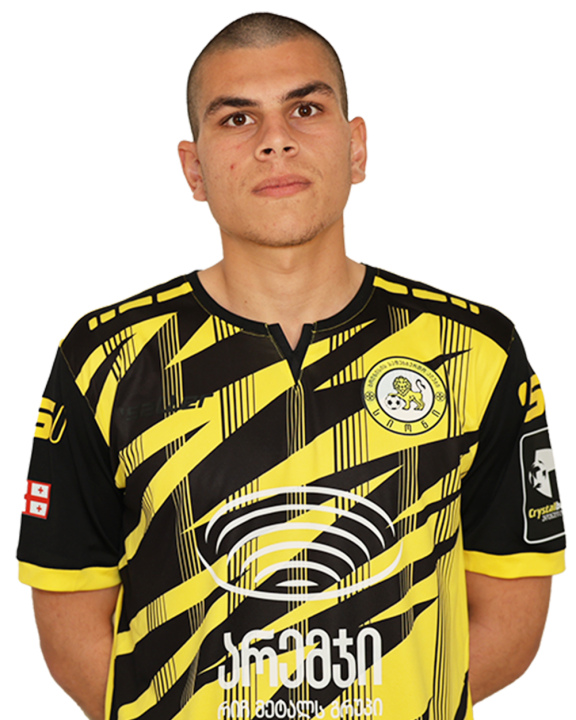 თორნიკე მინდიაშვილი-იმერლიშვილი