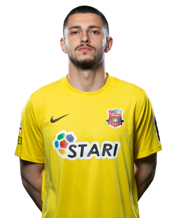 დავით კერესელიძე