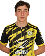 ალექსანდრე ჭოლოკავა